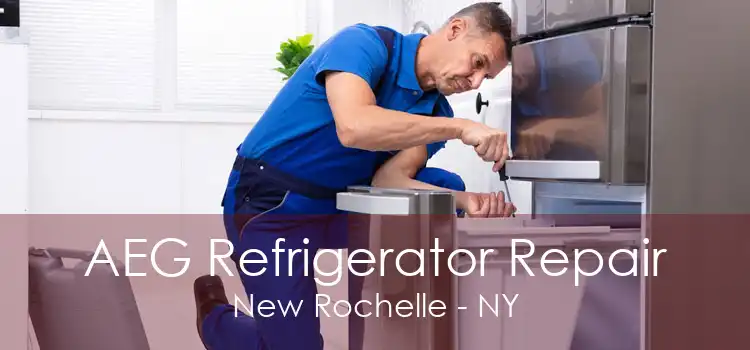 AEG Refrigerator Repair New Rochelle - NY