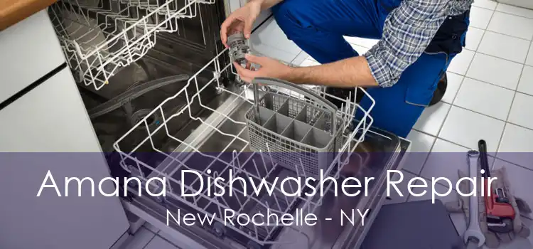 Amana Dishwasher Repair New Rochelle - NY