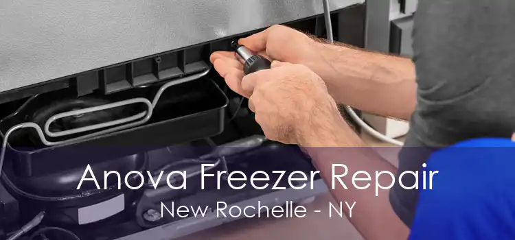 Anova Freezer Repair New Rochelle - NY