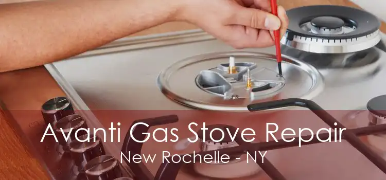 Avanti Gas Stove Repair New Rochelle - NY