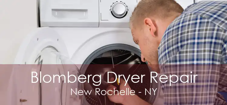 Blomberg Dryer Repair New Rochelle - NY