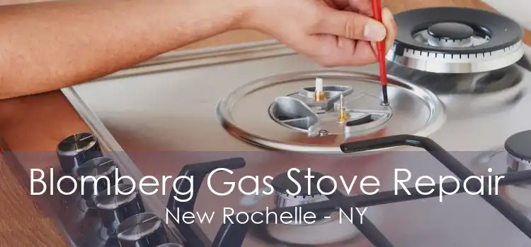 Blomberg Gas Stove Repair New Rochelle - NY