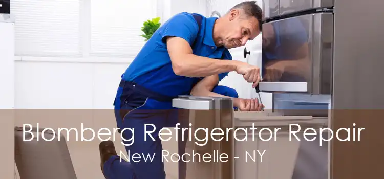 Blomberg Refrigerator Repair New Rochelle - NY