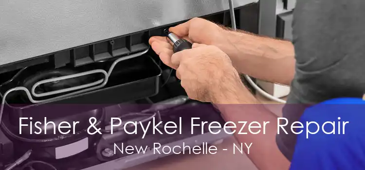 Fisher & Paykel Freezer Repair New Rochelle - NY