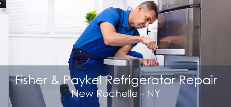 Fisher & Paykel Refrigerator Repair New Rochelle - NY