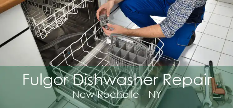 Fulgor Dishwasher Repair New Rochelle - NY