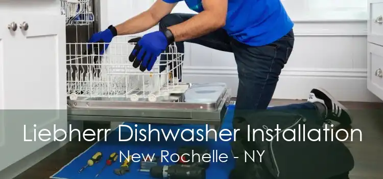 Liebherr Dishwasher Installation New Rochelle - NY