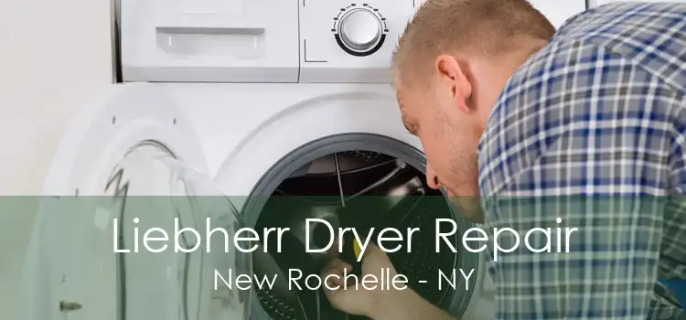 Liebherr Dryer Repair New Rochelle - NY