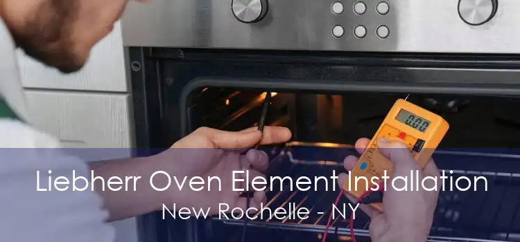 Liebherr Oven Element Installation New Rochelle - NY