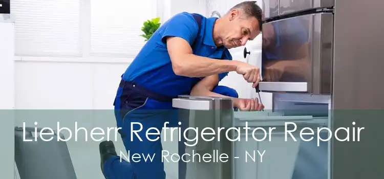 Liebherr Refrigerator Repair New Rochelle - NY