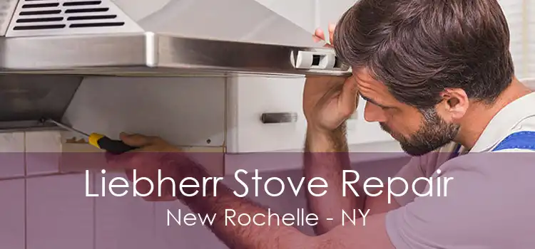 Liebherr Stove Repair New Rochelle - NY